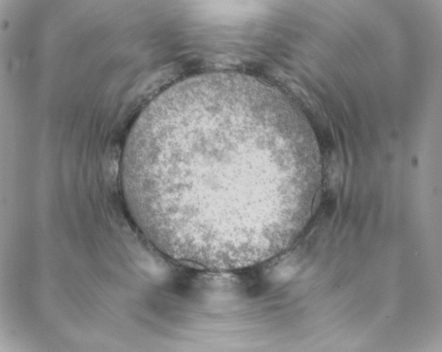 X0000088600427200706081357