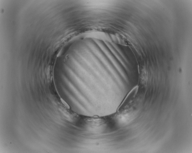 X0000088600428200706081357