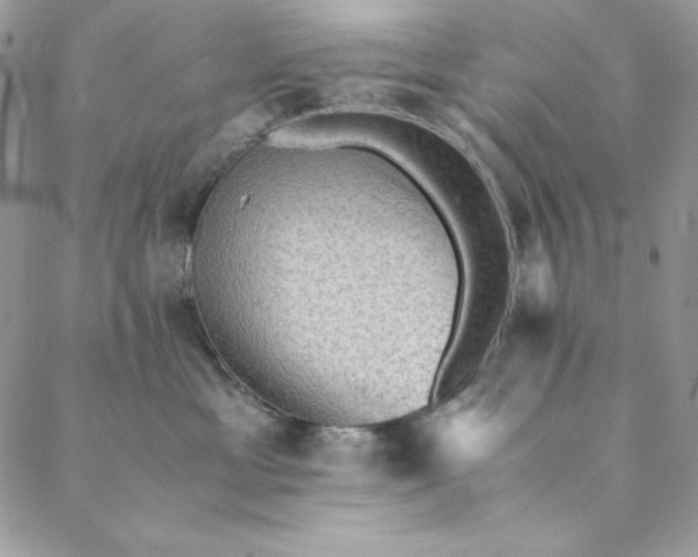 X0000088600429200706081357