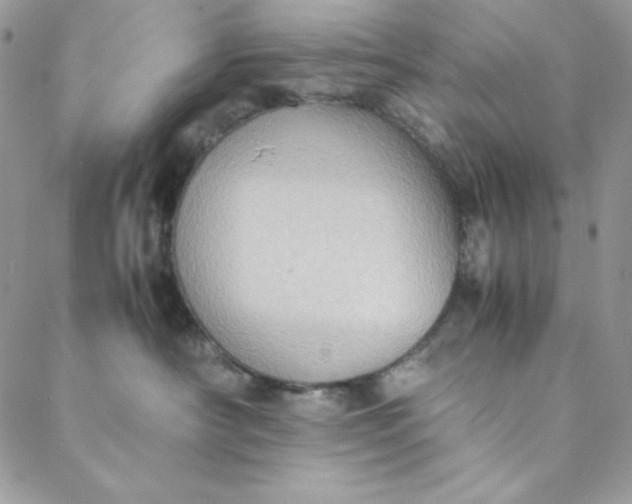 X0000088600430200706081357