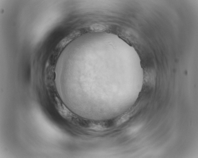 X0000088600431200706081357