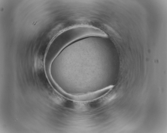 X0000088600432200706081357