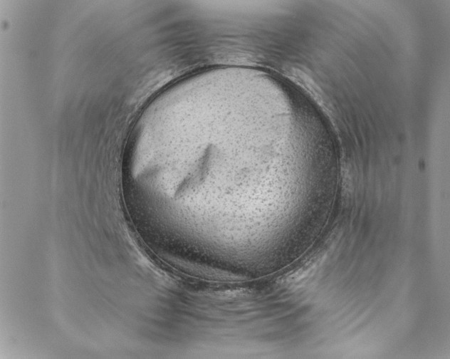 X0000088600433200706081357