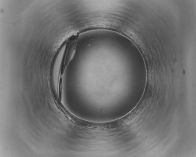 X0000088600434200706081357