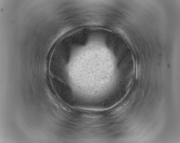 X0000088600435200706081357