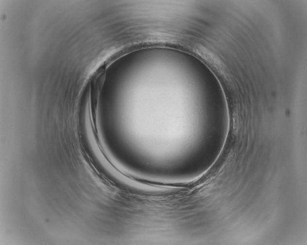 X0000088600436200706081357