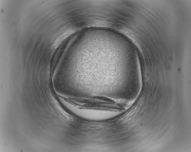 X0000088600437200706081357