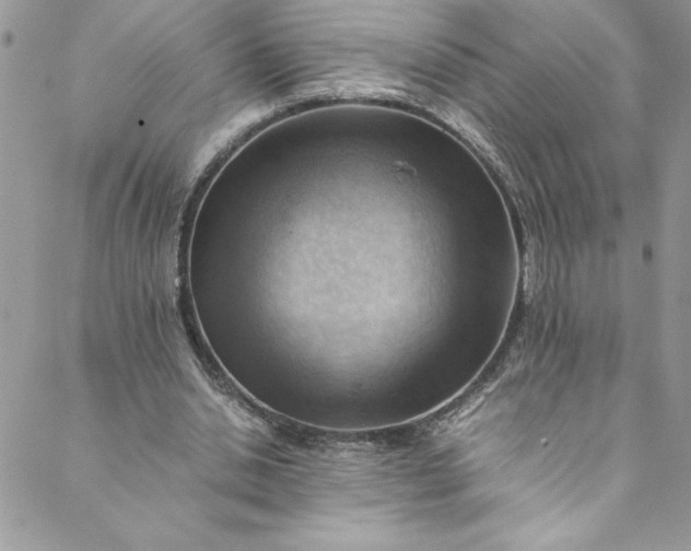 X0000088600438200706081357