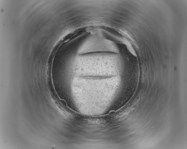 X0000088600439200706081357