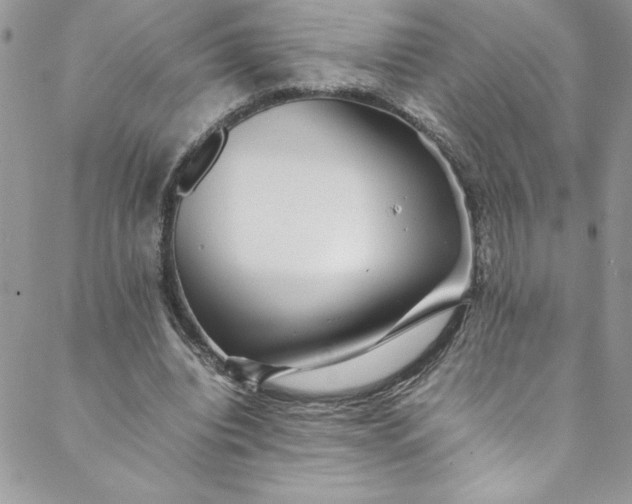 X0000088600440200706081357