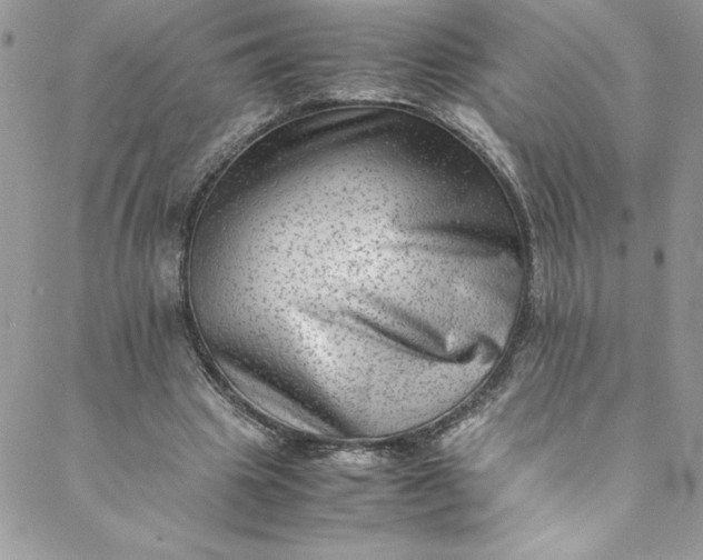 X0000088600441200706081357