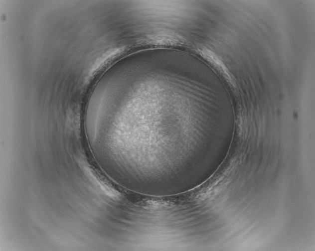 X0000088600442200706081357