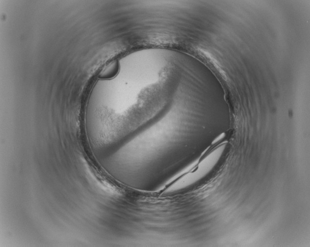 X0000088600443200706081357