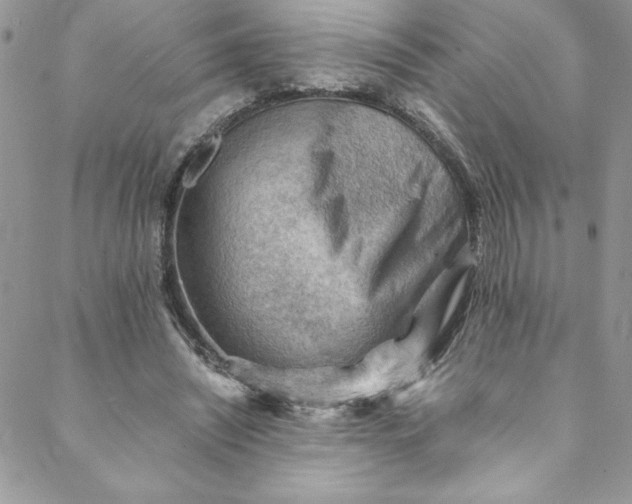 X0000088600444200706081357