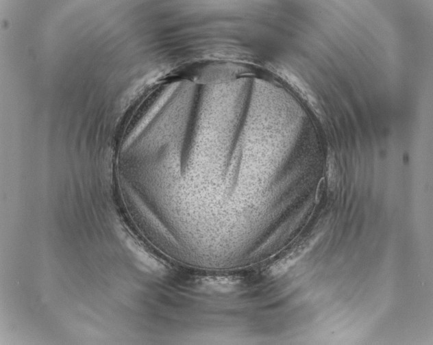 X0000088600445200706081357