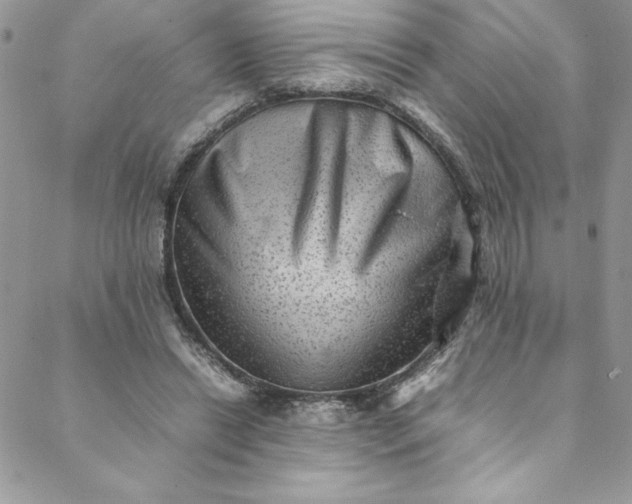 X0000088600446200706081357