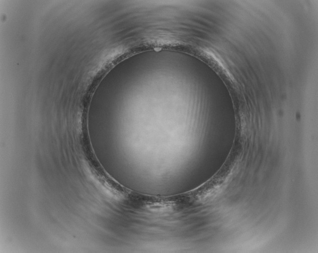 X0000088600447200706081357