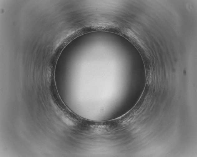 X0000088600448200706081357