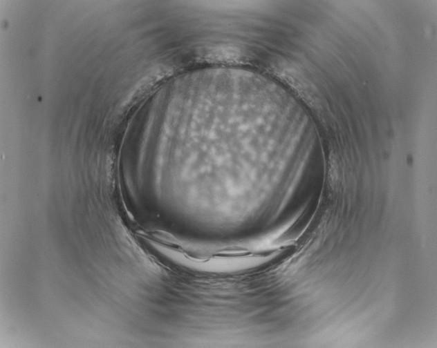 X0000088600449200706081357