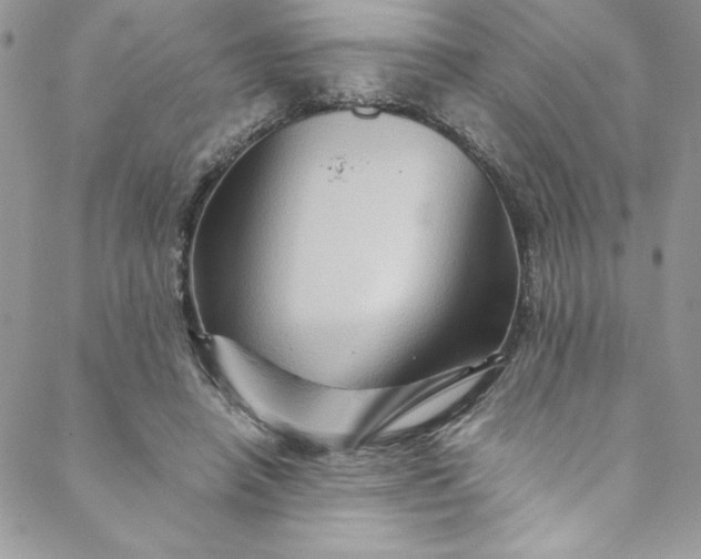 X0000088600450200706081357