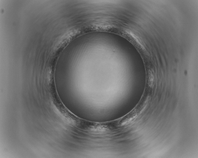 X0000088600451200706081357