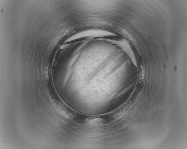 X0000088600452200706081357