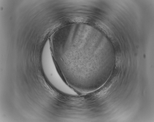 X0000088600453200706081357