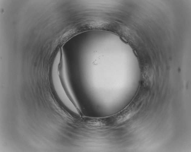 X0000088600454200706081357