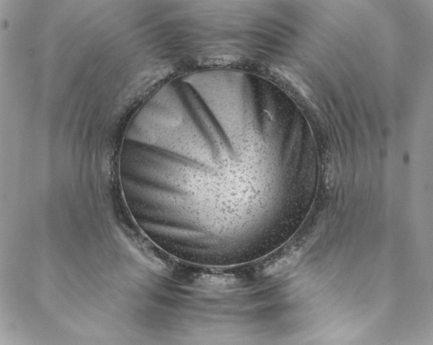 X0000088600455200706081357