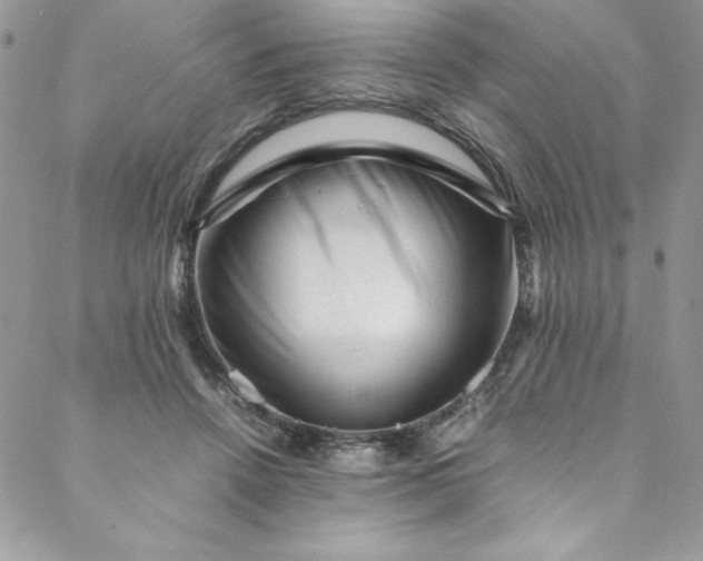 X0000088600456200706081357