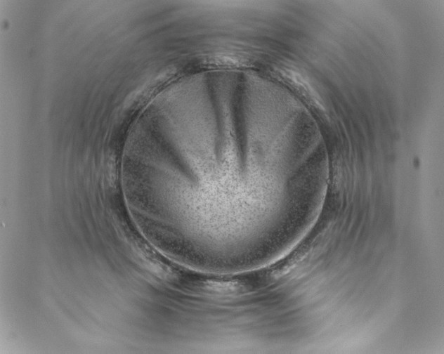 X0000088600457200706081357