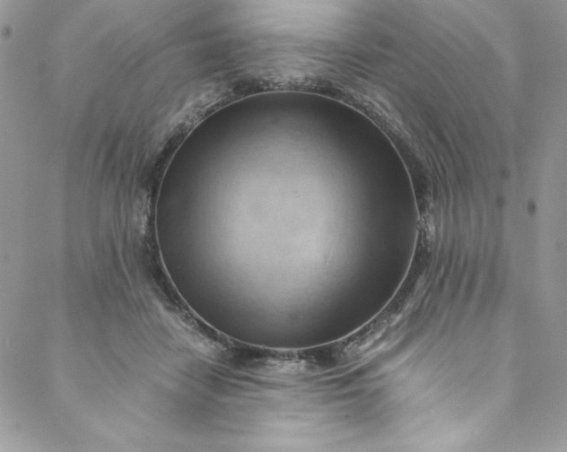 X0000088600458200706081357