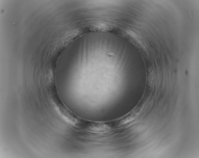 X0000088600459200706081357