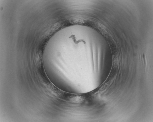 X0000088600460200706081357