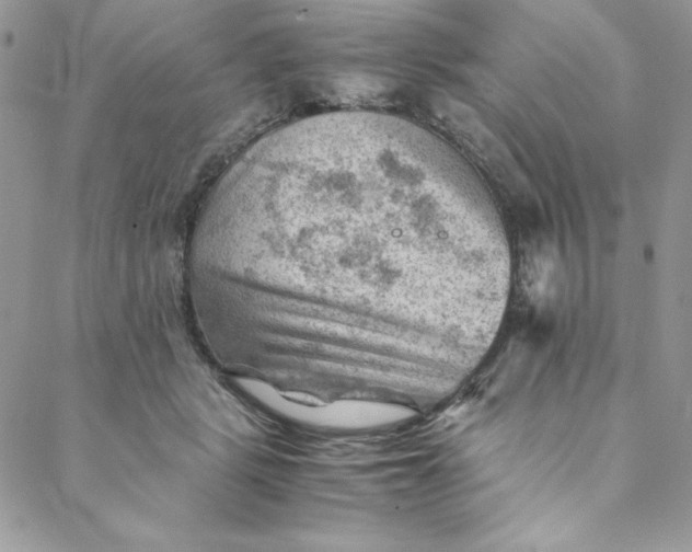 X0000088600461200706081357