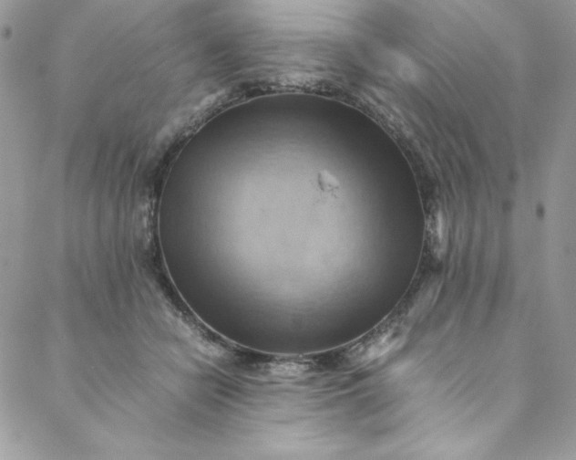 X0000088600462200706081357