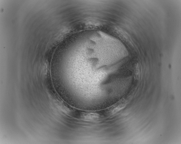 X0000088600463200706081357