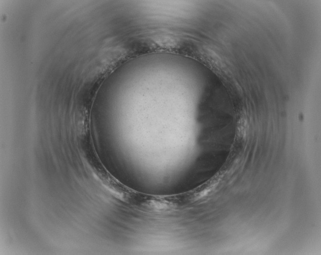 X0000088600464200706081357