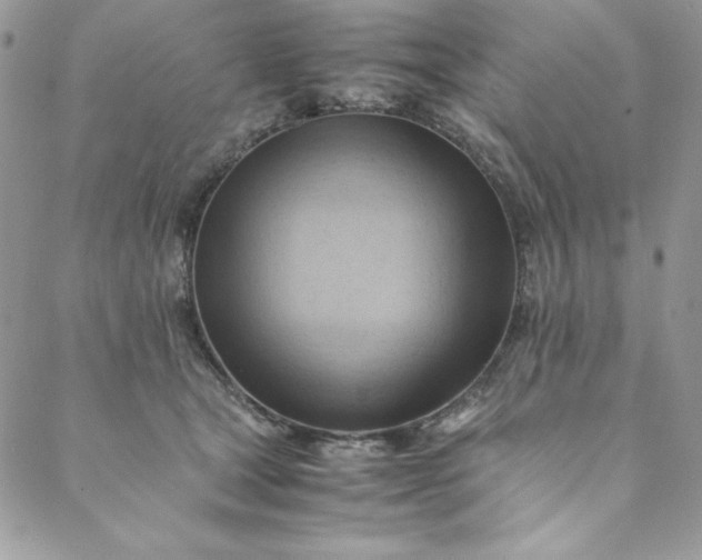 X0000088600465200706081357