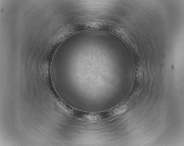 X0000088600466200706081357