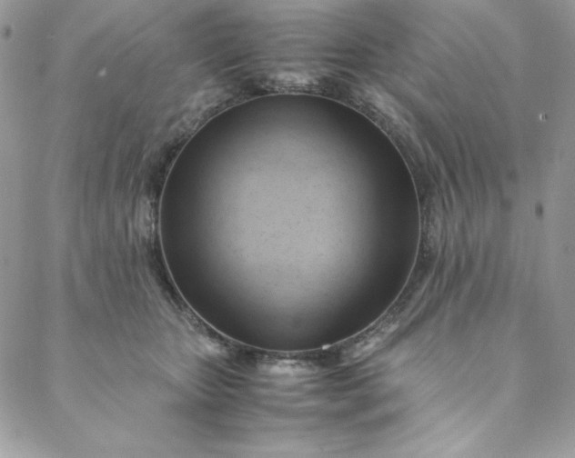 X0000088600467200706081357