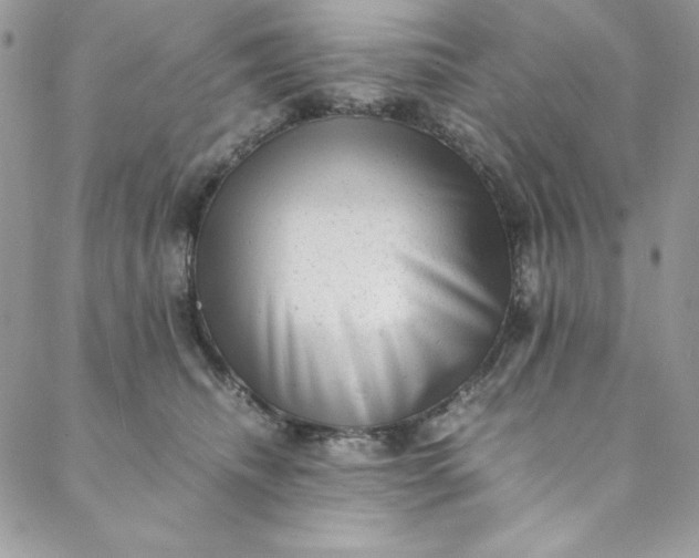 X0000088600468200706081357