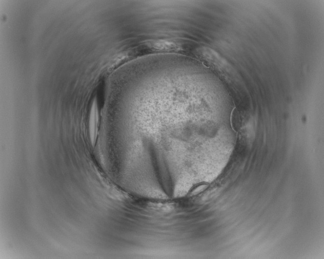 X0000088600469200706081357