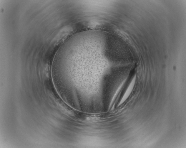 X0000088600470200706081357