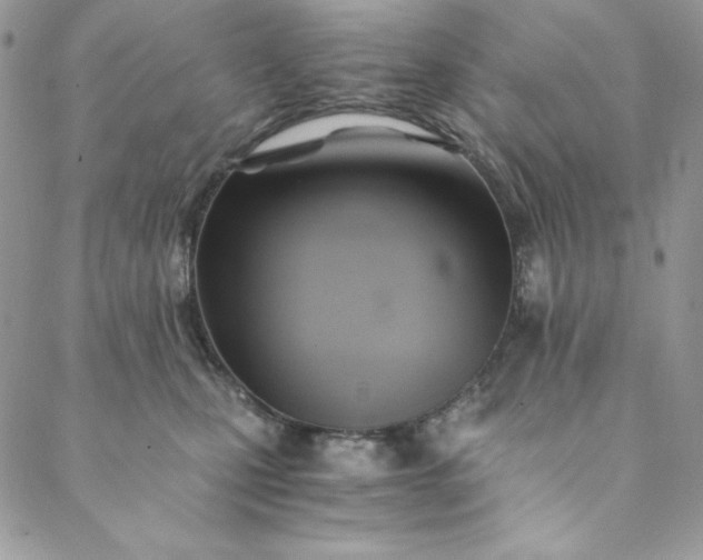 X0000088600471200706081357