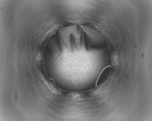 X0000088600472200706081357