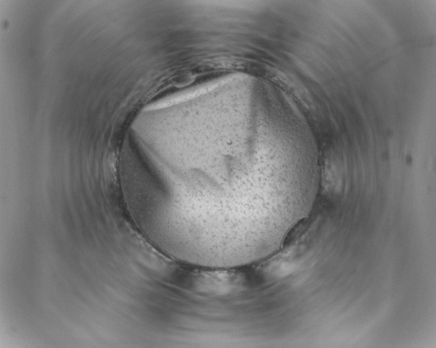 X0000088600473200706081357