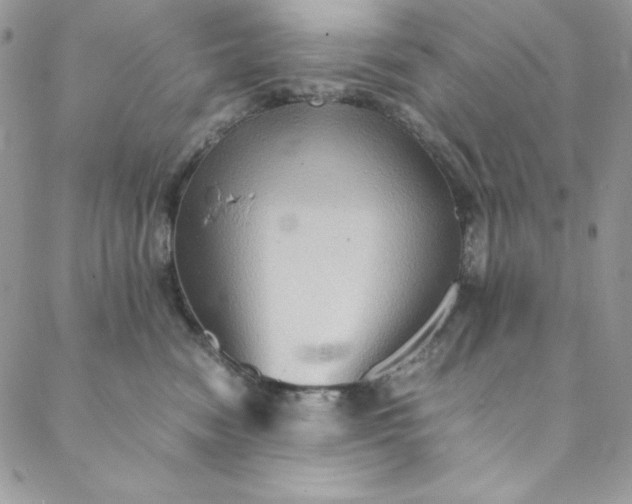 X0000088600474200706081357