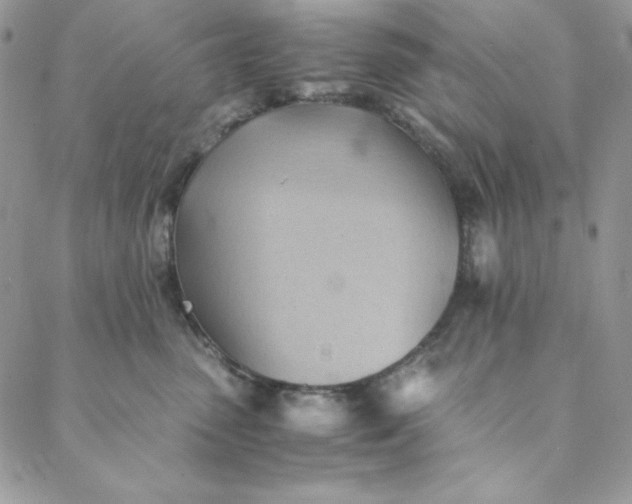 X0000088600475200706081357