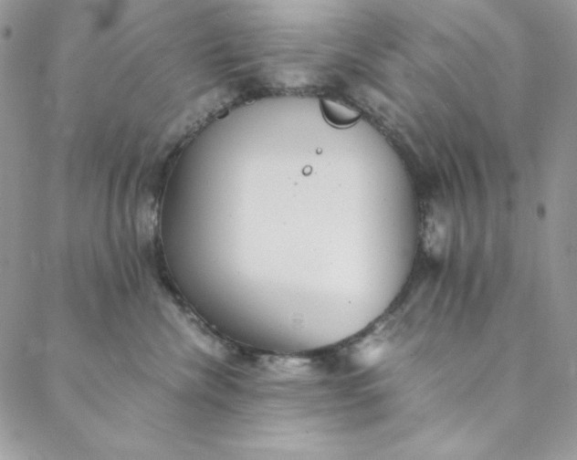 X0000088600476200706081357